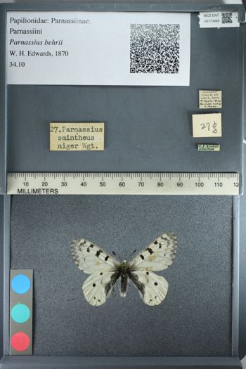 Media type: image;   Entomology 173948
